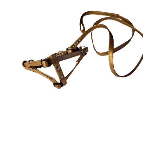 NWT Harness & Leash Size XS - Picture 1 of 5